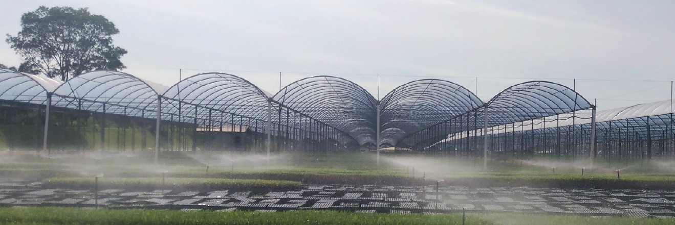 Ambientes controlado com irrigação 